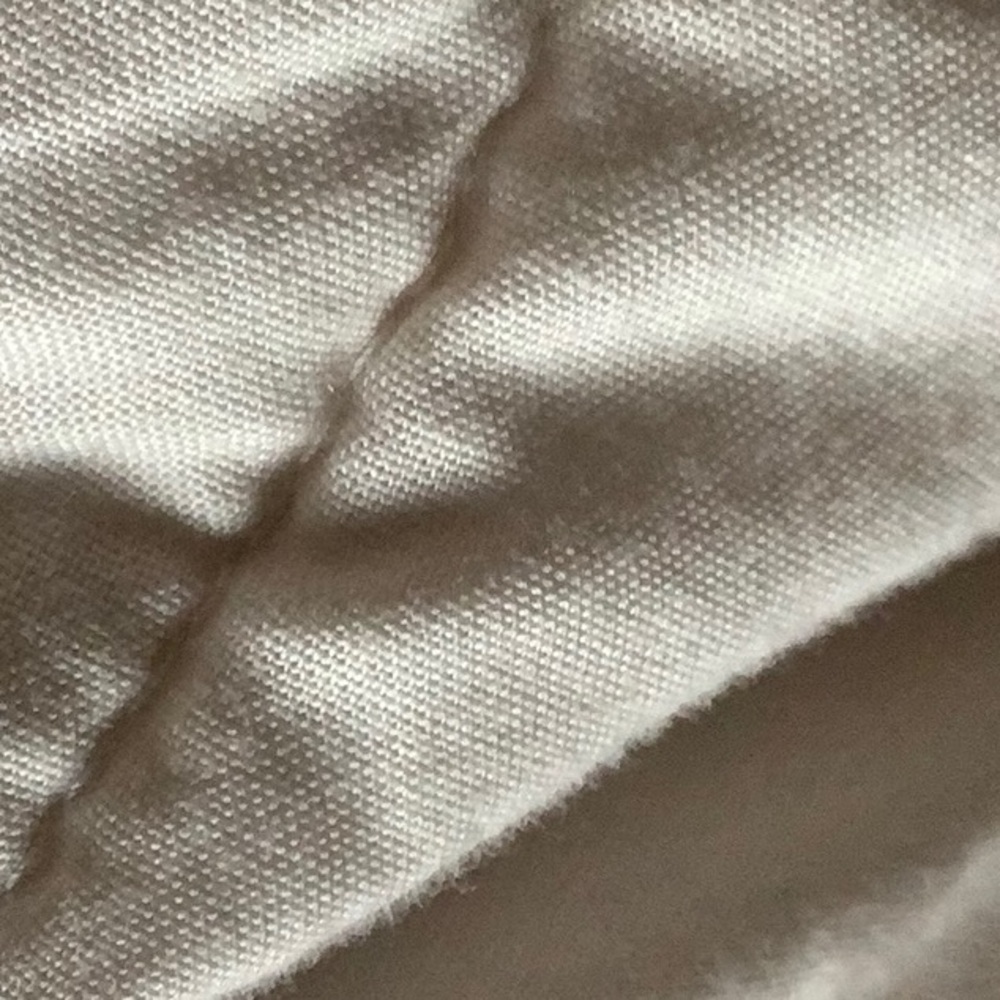 NWT Eileen Fisher Bone Silk Georgette Crepe Bateau Neck Top